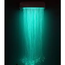 Fiber Optic Light